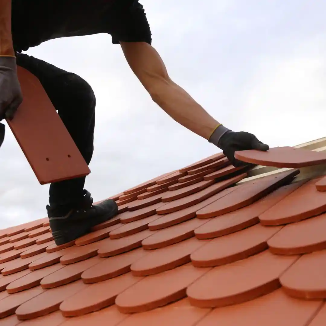 Nettoyage, hydrofuge coloré/incolore, Thermicolor. Éliminez mousses et lichens, protection 10-15 ans minimum.