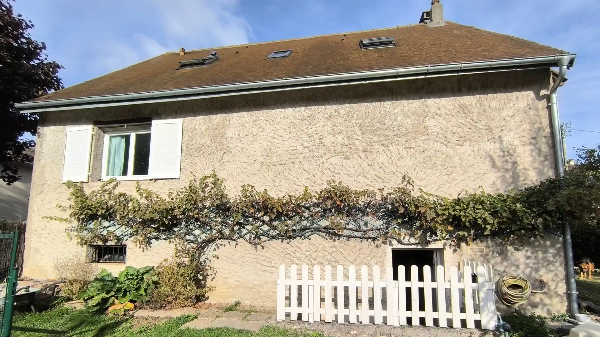 Façade latérale de la maison avant rénovation, montrant un enduit ancien jauni et des traces de végétation grimpante le long du mur.