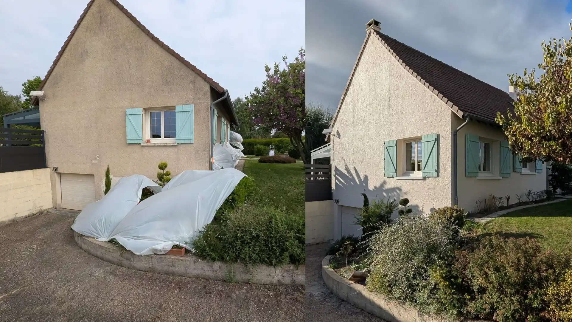 Mur extérieur avec mousses avant nettoyage