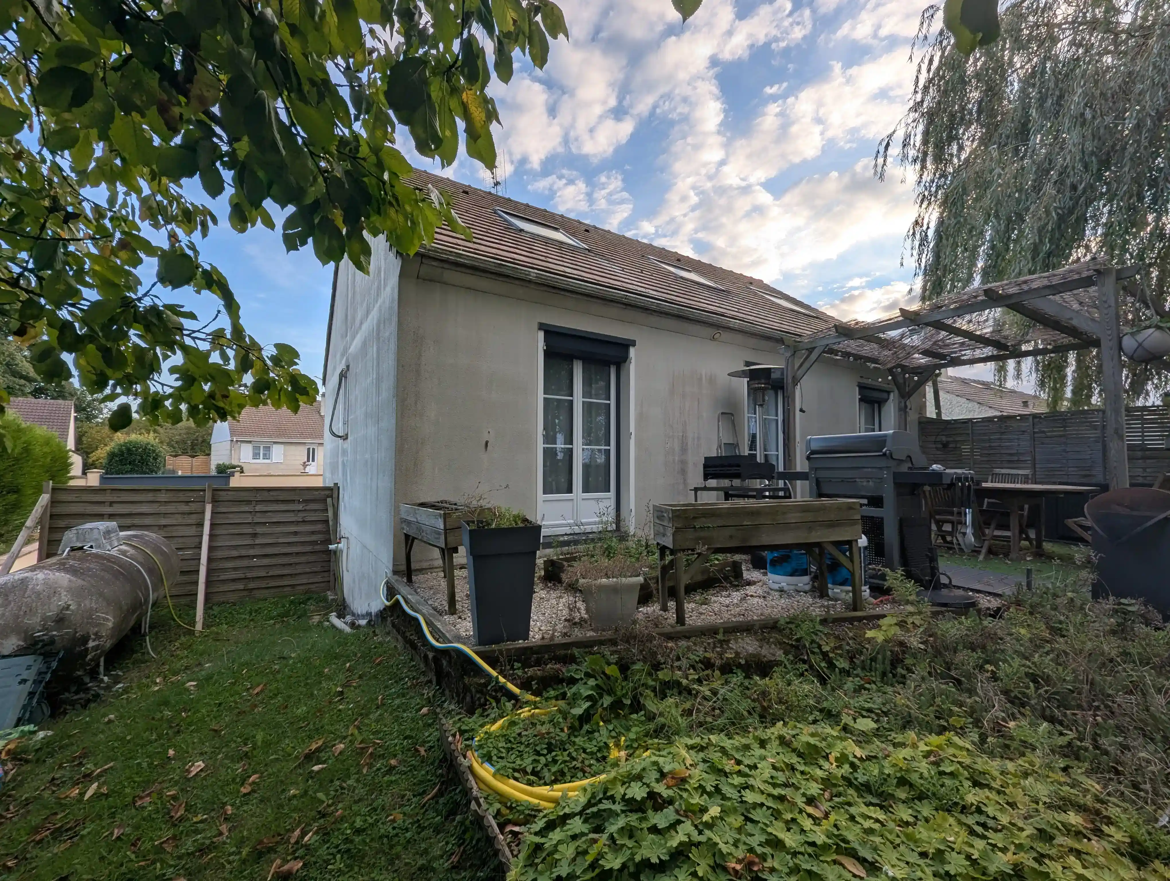 Façade poreuse recolonisée par les mousses après un nettoyage chloré agressif à Ablis
